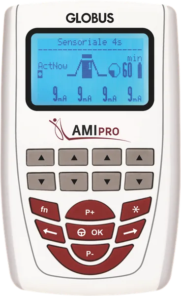 AMI Pro